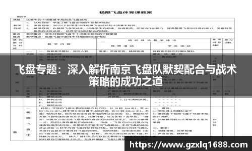 飞盘专题：深入解析南京飞盘队默契配合与战术策略的成功之道