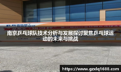 南京乒乓球队技术分析与发展探讨聚焦乒乓球运动的未来与挑战