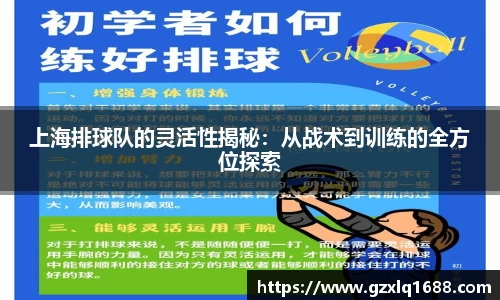 上海排球队的灵活性揭秘：从战术到训练的全方位探索